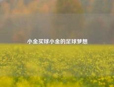 小金买球小金的足球梦想