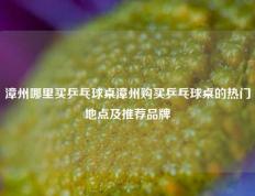漳州哪里买乒乓球桌漳州购买乒乓球桌的热门地点及推荐品牌