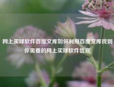 网上买球软件百度文库如何利用百度文库找到你需要的网上买球软件信息