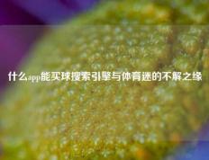 什么app能买球搜索引擎与体育迷的不解之缘