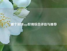 哪个买球app好用综合评估与推荐