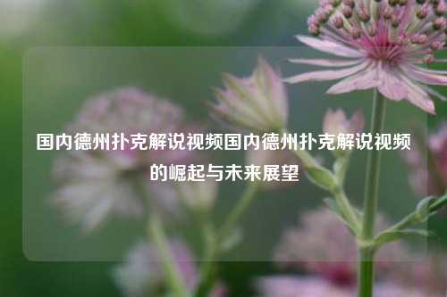 国内德州扑克解说视频国内德州扑克解说视频的崛起与未来展望