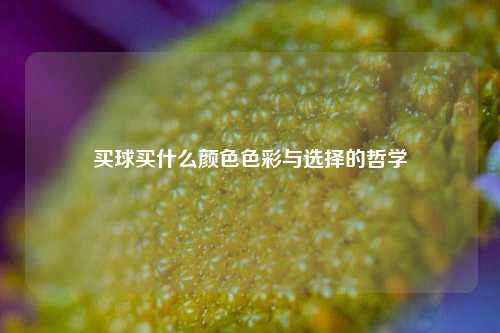 买球买什么颜色色彩与选择的哲学