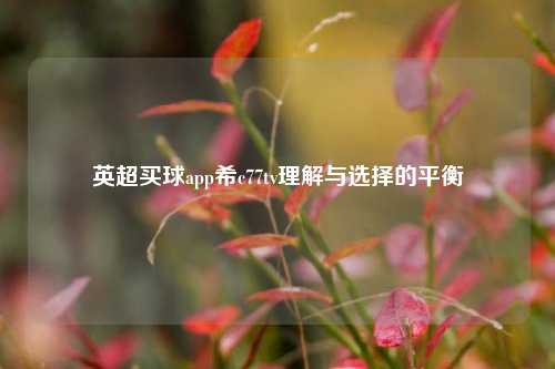 英超买球app希c77tv理解与选择的平衡