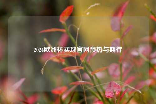 2024欧洲杯买球官网预热与期待