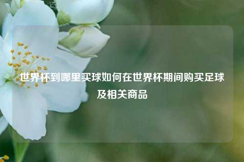 世界杯到哪里买球如何在世界杯期间购买足球及相关商品