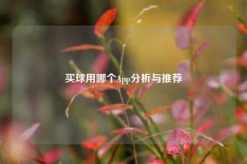 买球用哪个App分析与推荐