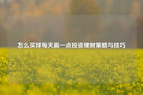 怎么买球每天赢一点投资理财策略与技巧