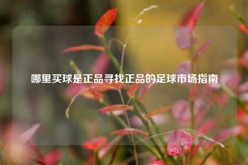 哪里买球是正品寻找正品的足球市场指南