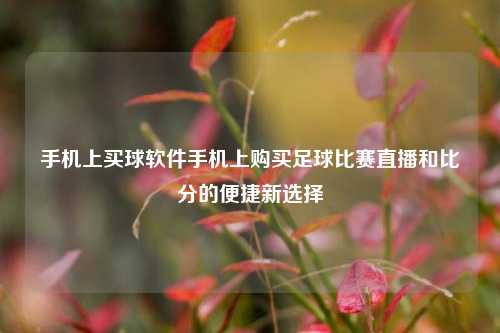 手机上买球软件手机上购买足球比赛直播和比分的便捷新选择