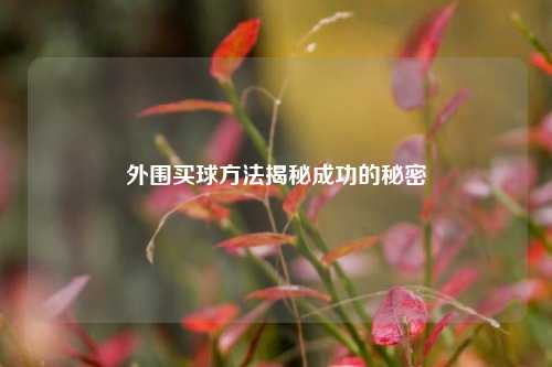 外围买球方法揭秘成功的秘密