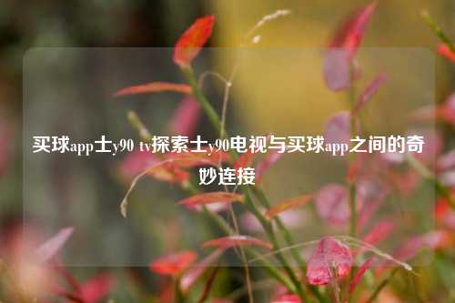 买球app士y90 tv探索士y90电视与买球app之间的奇妙连接