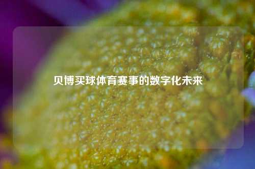 贝博买球体育赛事的数字化未来