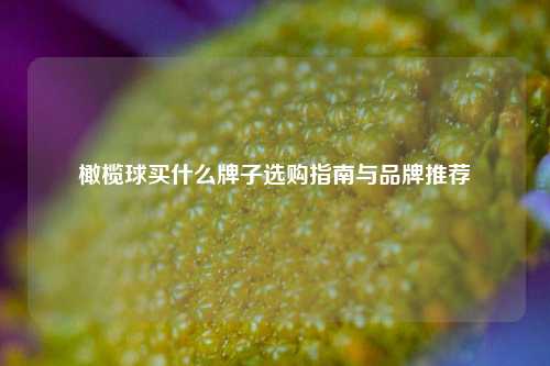 橄榄球买什么牌子选购指南与品牌推荐