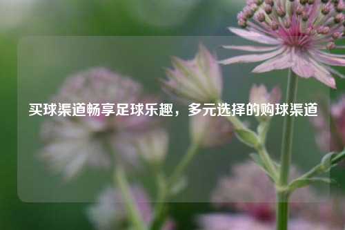 买球渠道畅享足球乐趣，多元选择的购球渠道