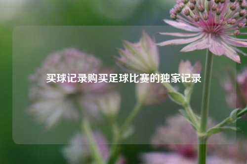买球记录购买足球比赛的独家记录