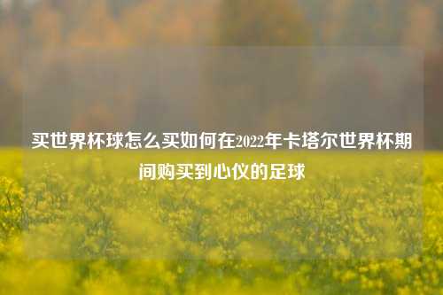 买世界杯球怎么买如何在2022年卡塔尔世界杯期间购买到心仪的足球