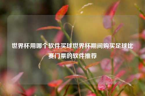 世界杯用哪个软件买球世界杯期间购买足球比赛门票的软件推荐