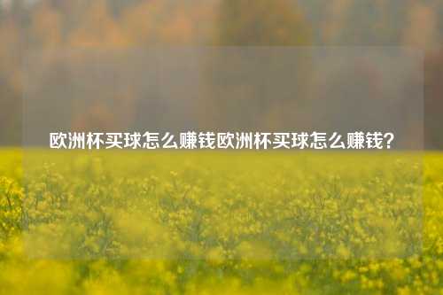 欧洲杯买球怎么赚钱欧洲杯买球怎么赚钱？