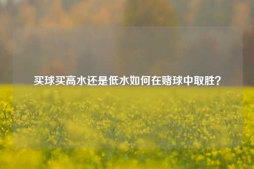 买球买高水还是低水如何在赌球中取胜？