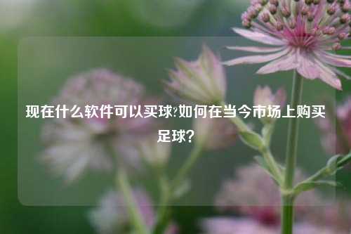 现在什么软件可以买球?如何在当今市场上购买足球？