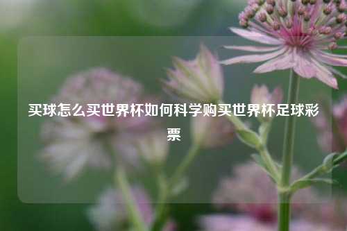 买球怎么买世界杯如何科学购买世界杯足球彩票
