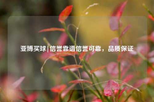 亚博买球|信誉靠谱信誉可靠，品质保证