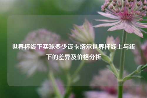 世界杯线下买球多少钱卡塔尔世界杯线上与线下的差异及价格分析