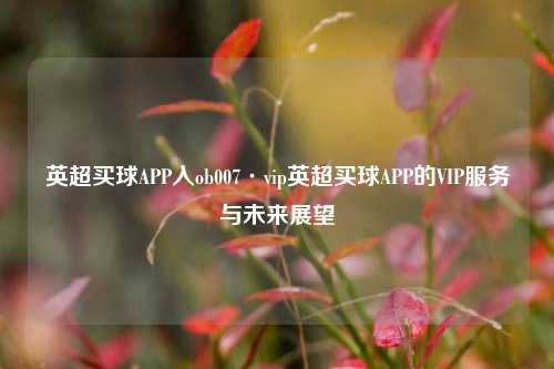 英超买球APP入ob007·vip英超买球APP的VIP服务与未来展望