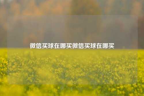 微信买球在哪买微信买球在哪买