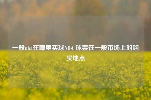 一般nba在哪里买球NBA 球票在一般市场上的购买地点