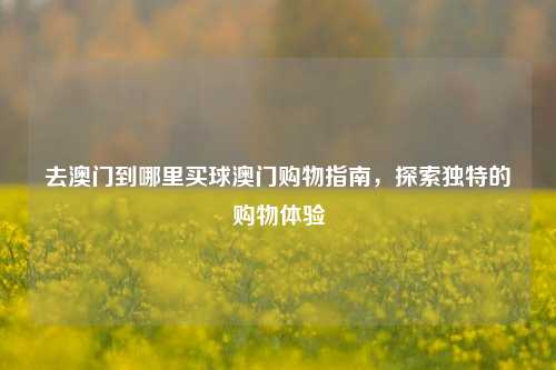 去澳门到哪里买球澳门购物指南，探索独特的购物体验