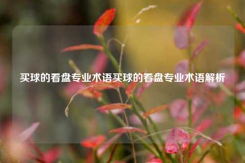买球的看盘专业术语买球的看盘专业术语解析