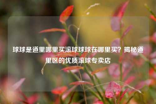 球球是道里哪里买滚球球球在哪里买？揭秘道里区的优质滚球专卖店