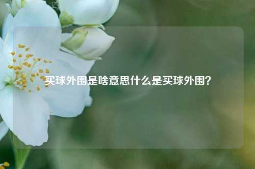 买球外围是啥意思什么是买球外围？
