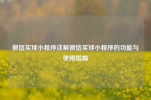 微信买球小程序详解微信买球小程序的功能与使用指南