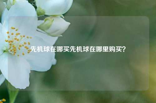 先机球在哪买先机球在哪里购买？