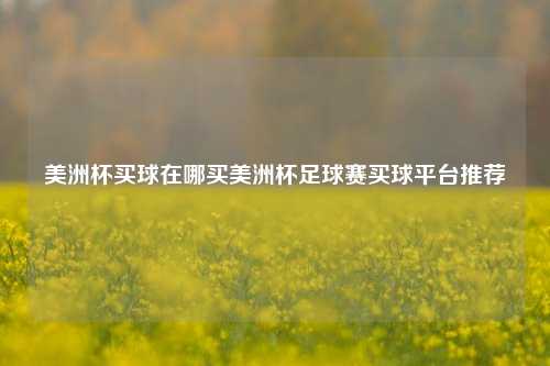 美洲杯买球在哪买美洲杯足球赛买球平台推荐
