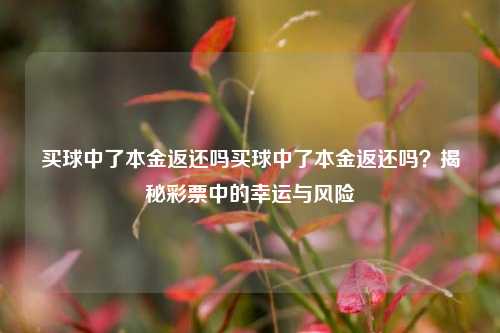 买球中了本金返还吗买球中了本金返还吗？揭秘彩票中的幸运与风险