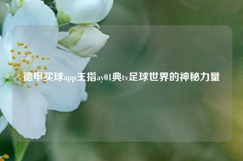 德甲买球app王指ay01典tv足球世界的神秘力量