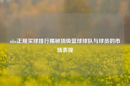 nba正规买球排行揭秘顶级篮球球队与球员的市场表现