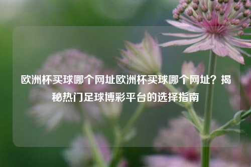 欧洲杯买球哪个网址欧洲杯买球哪个网址？揭秘热门足球博彩平台的选择指南