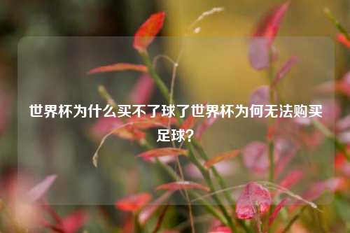 世界杯为什么买不了球了世界杯为何无法购买足球？