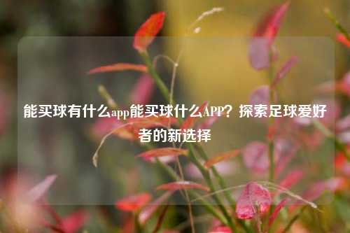 能买球有什么app能买球什么APP？探索足球爱好者的新选择