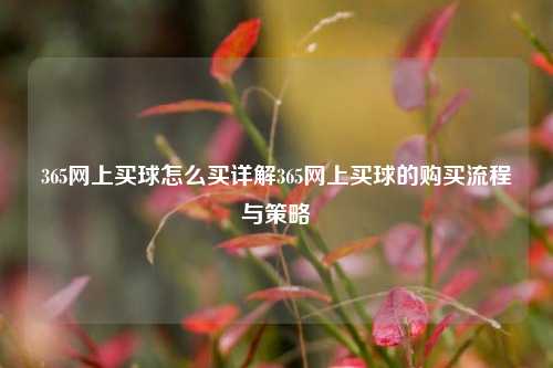 365网上买球怎么买详解365网上买球的购买流程与策略