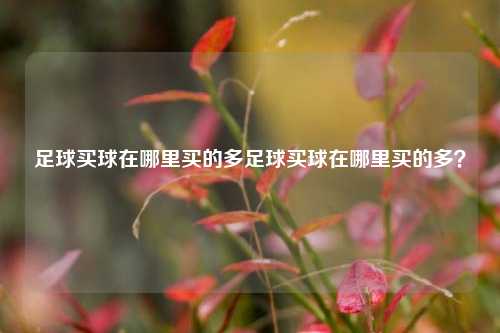 足球买球在哪里买的多足球买球在哪里买的多？