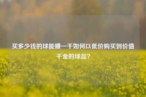 买多少钱的球能赚一千如何以低价购买到价值千金的球品？
