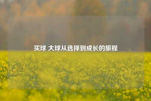 买球 大球从选择到成长的旅程