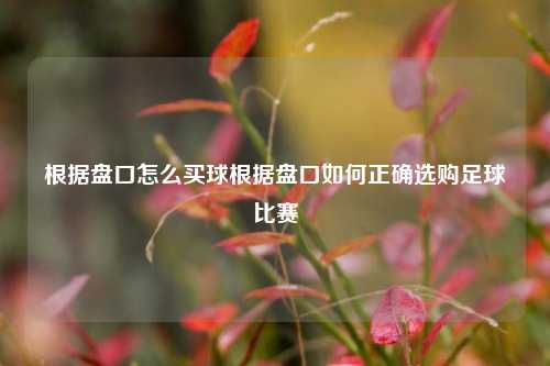 根据盘口怎么买球根据盘口如何正确选购足球比赛