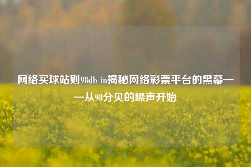 网络买球站则98db in揭秘网络彩票平台的黑幕——从98分贝的噪声开始